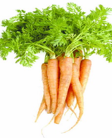 хранение моркови фото