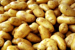 качественный картофель фото